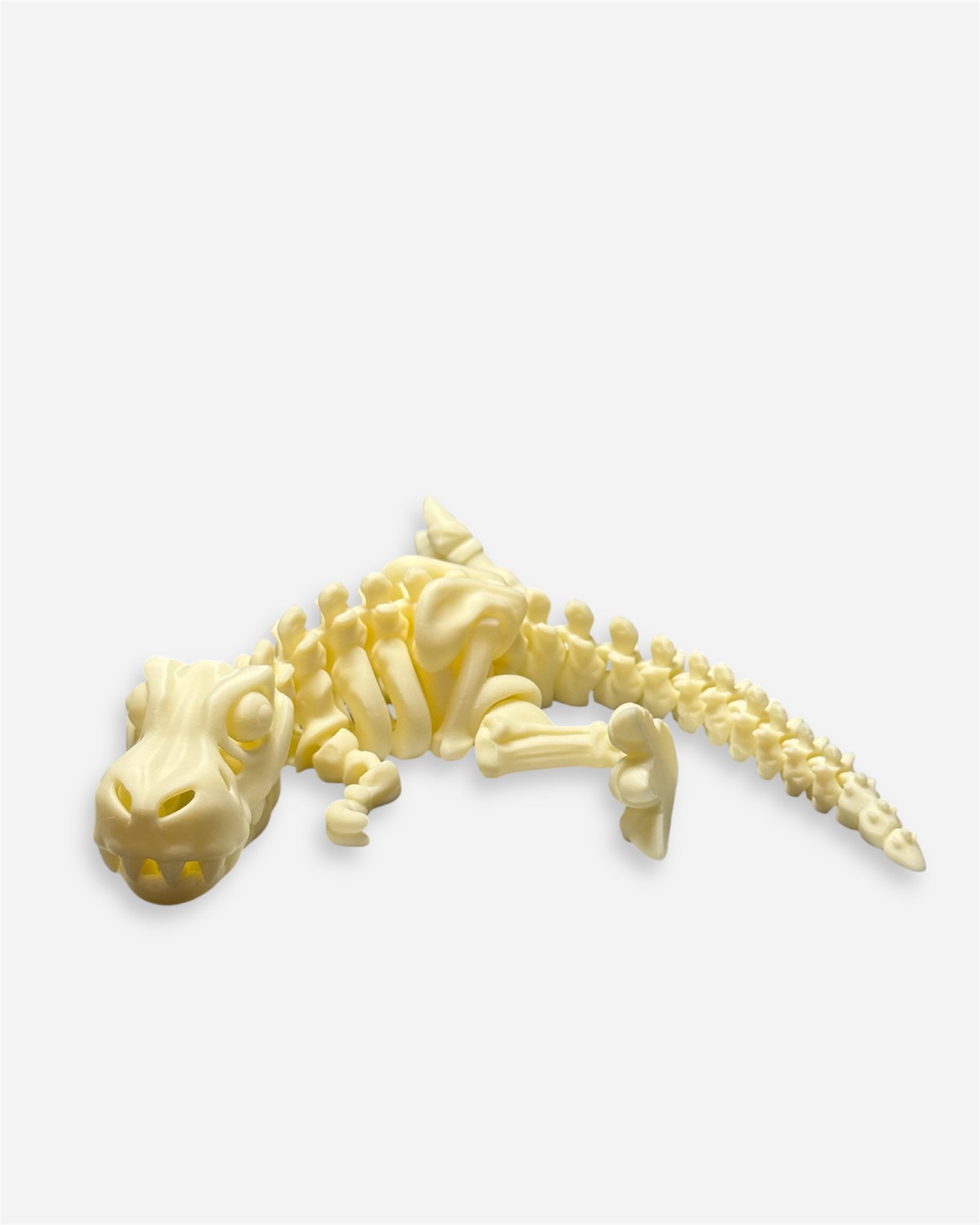 T-Rex Skeleton