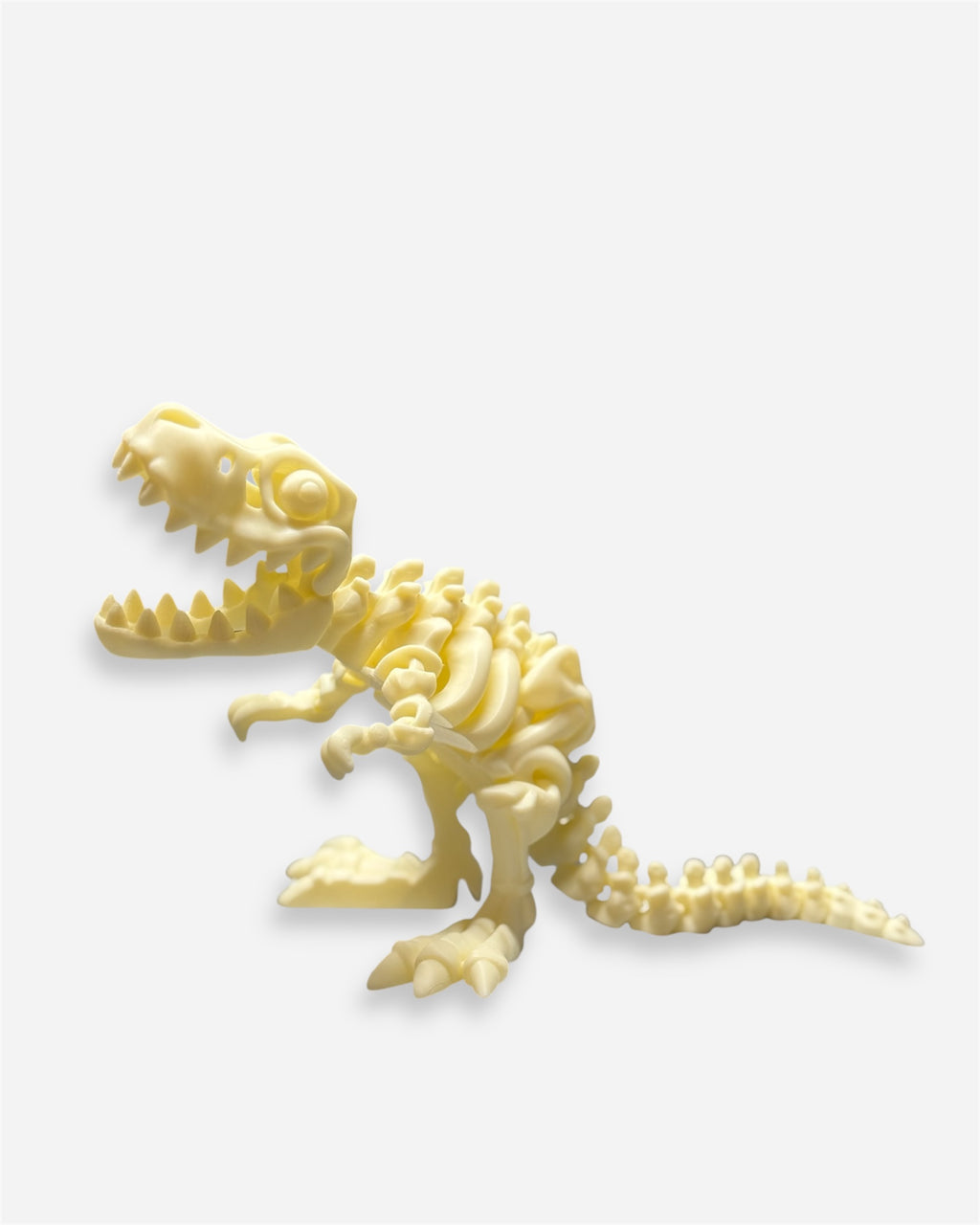 T-Rex Skeleton