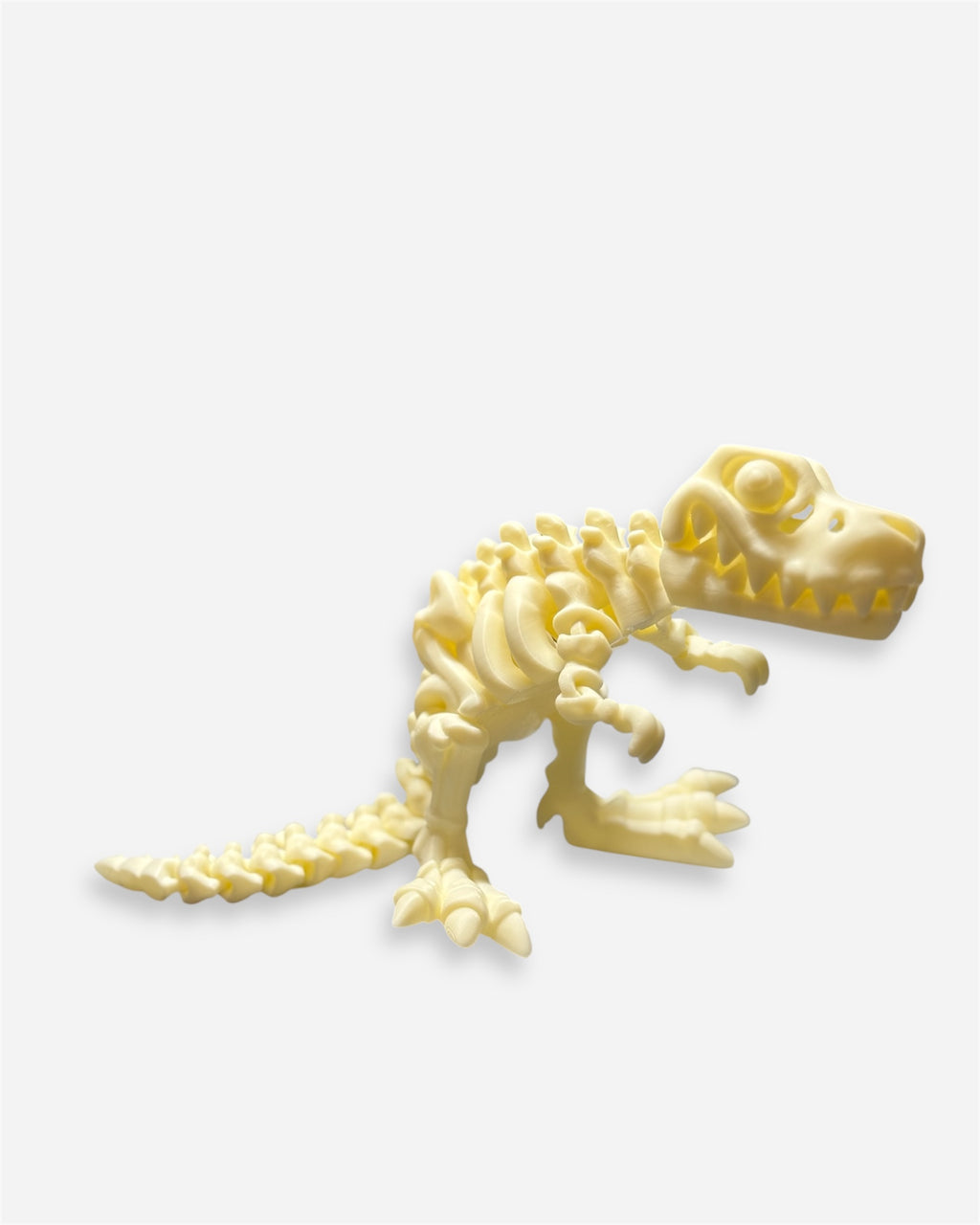 T-Rex Skeleton