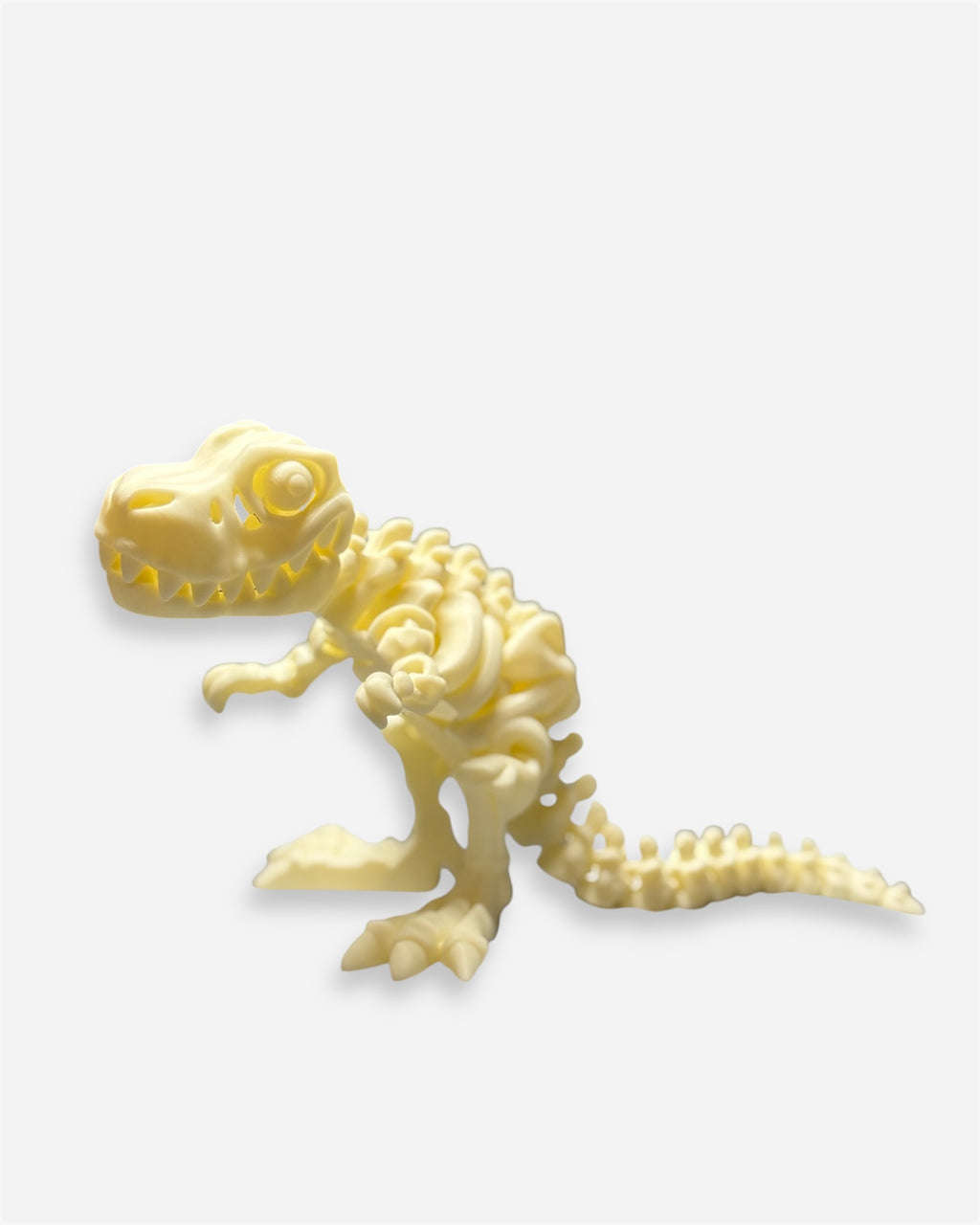 T-Rex Skeleton